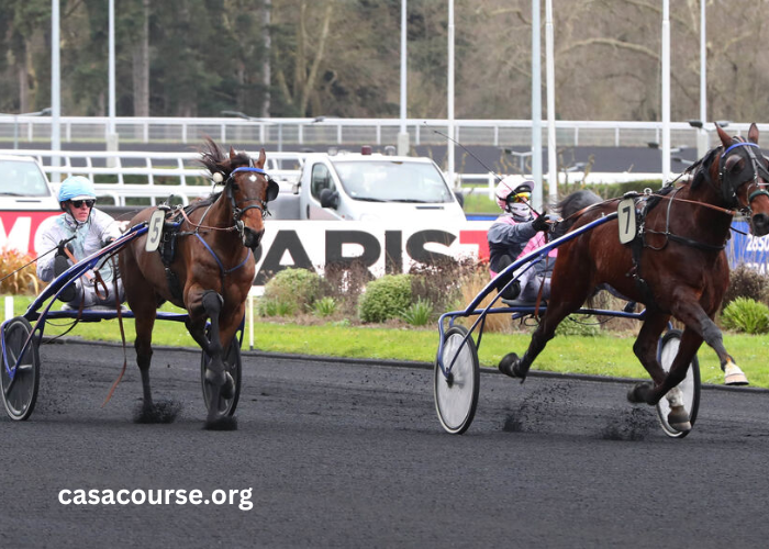 Resultat Des Courses Aujourd Hui