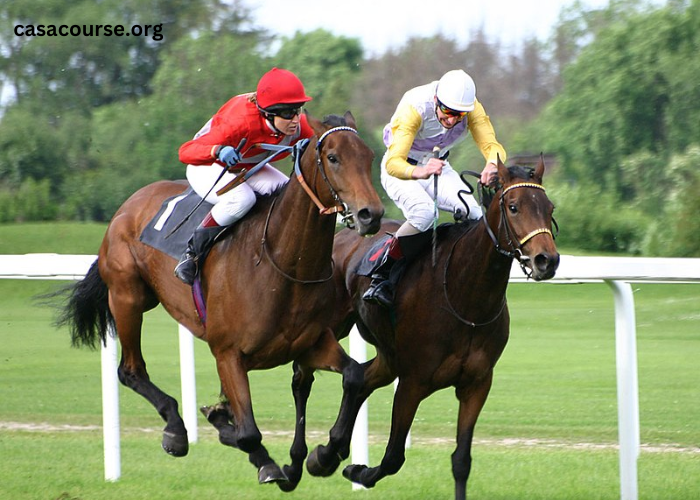 Liste Type Turf 8 Chevaux