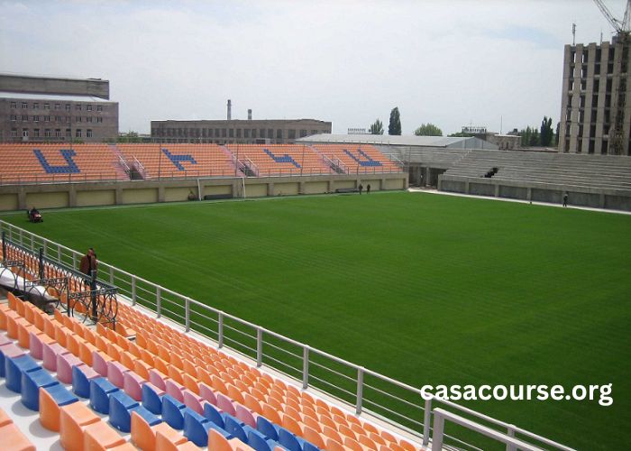 Mika Turf (1)