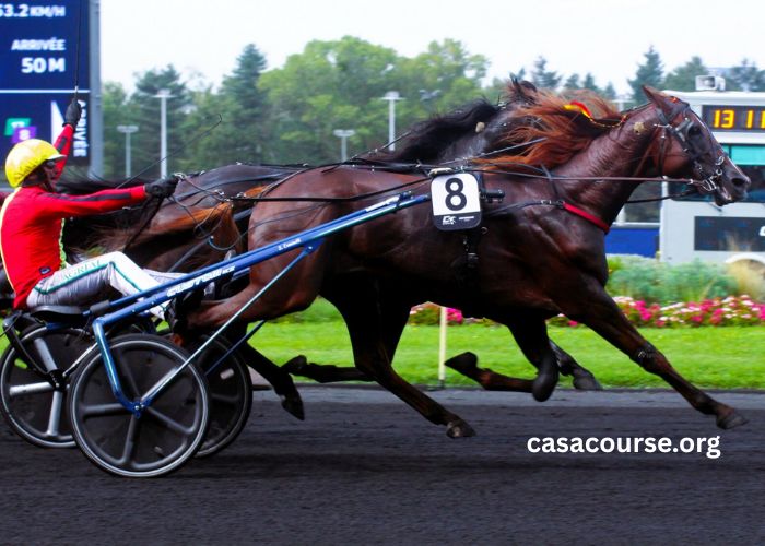 Paris Turf 999 (1)