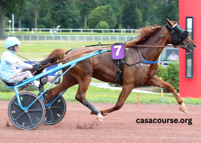 Paris Turf Actualites (1)