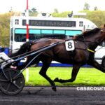 Pmu Turf Pronostics Gratuit Presse (1)