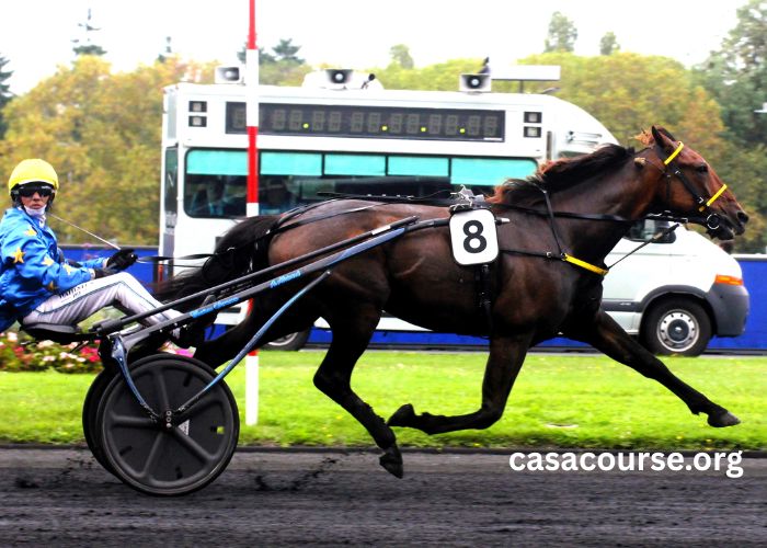 Pmu Turf Pronostics Gratuit Presse (1)