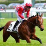 Presse Turf