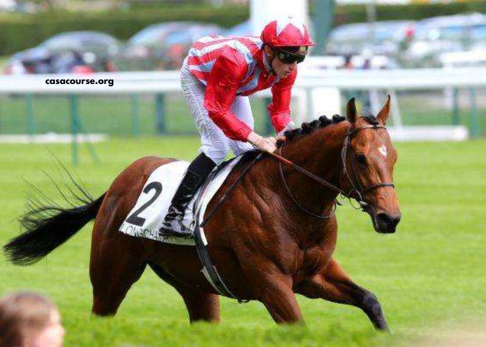 Presse Turf