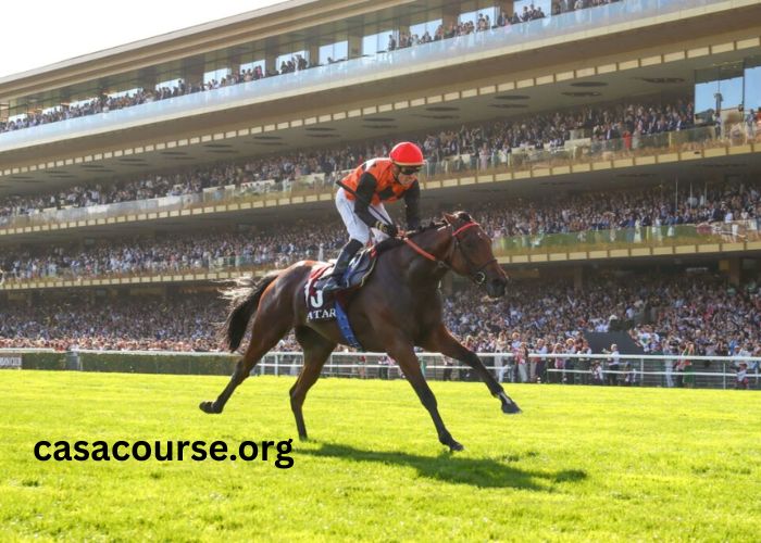 Pronostic Gratuit Turfs (1)
