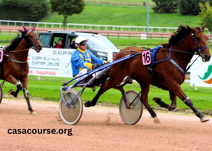 Société Turf Trio (1)