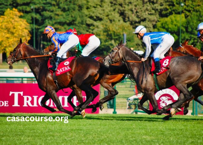Super Gagnant Turf (2)