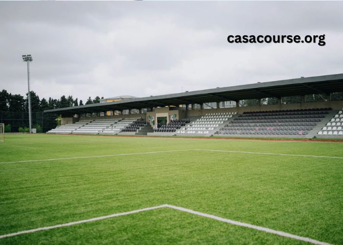Talent Turf (1)