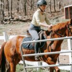 123 Milliardaire Turf (