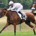 Ablatif Turf