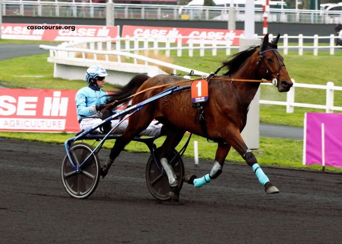 Alacaisse Turf