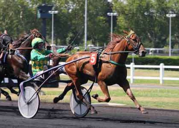 Bazire Turf Victoire