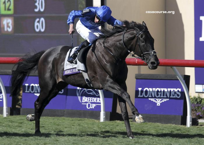 Champion Turf