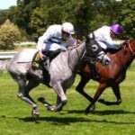 Classement Turf