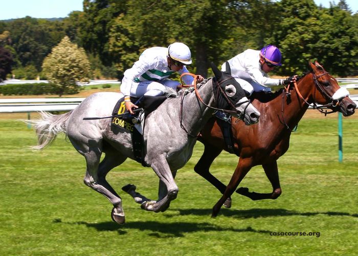 Classement Turf