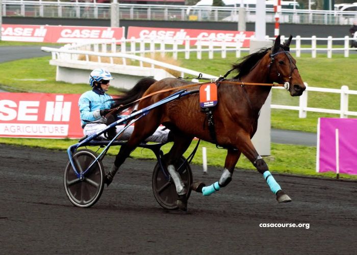 Top Gagnant Turf