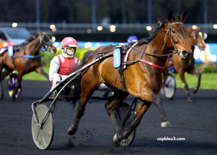 Turf Fr Demain